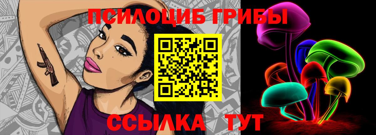 Псилоцибиновые грибы GOLDEN TEACHER Казань